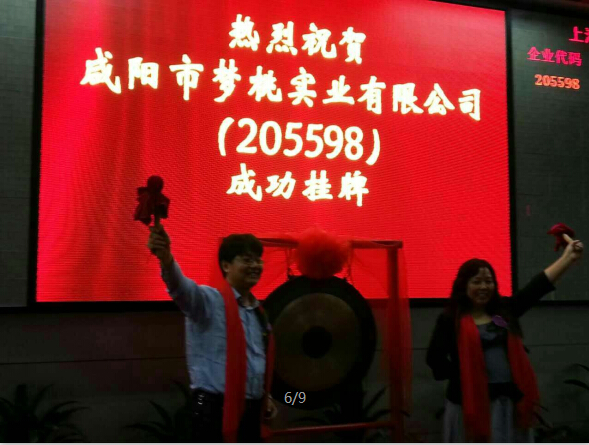 咸陽(yáng)市市政府副秘書長(zhǎng)、市金融辦主任張榮輝與公司董事長(zhǎng)彭嵐女士為公司上市儀式敲響第一鑼